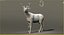 deer rigged fur 3d model