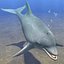 dolphin