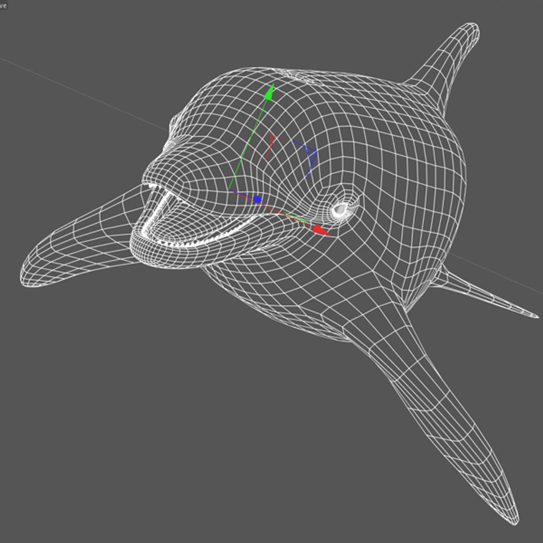 dolphin animations blowhole c4d https://p.turbosquid.com/ts-thumb/ui/qaEzdz/GZ8rgqUR/wire/jpg/1334427939/1920x1080/fit_q87/7a5d7f8f35366dd701b65efbb3f92bd117f0d82e/wire.jpg