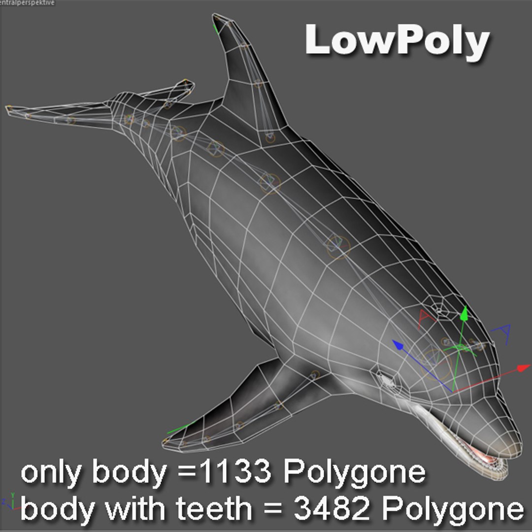 dolphin animations blowhole c4d https://p.turbosquid.com/ts-thumb/ui/qaEzdz/R9x2Fh5y/lowpoly/jpg/1333647547/1920x1080/fit_q87/85a852eef59b739017529bff141e163ab883077f/lowpoly.jpg