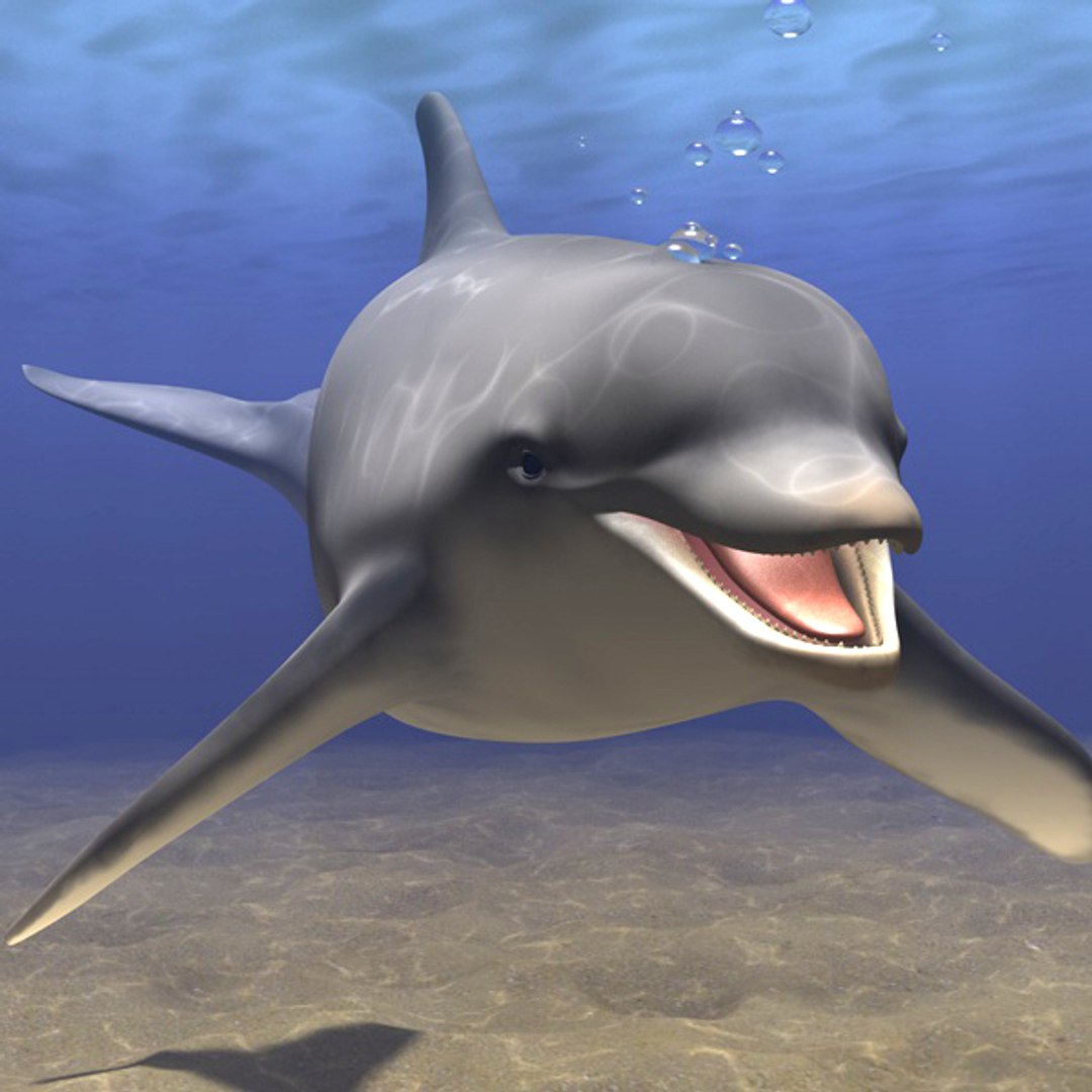 dolphin animations blowhole c4d https://p.turbosquid.com/ts-thumb/ui/qaEzdz/YUwC1WIc/front2/jpg/1333645781/1920x1080/fit_q87/64432ed6437d13e9796b09e75fc135eb040fe1de/front2.jpg