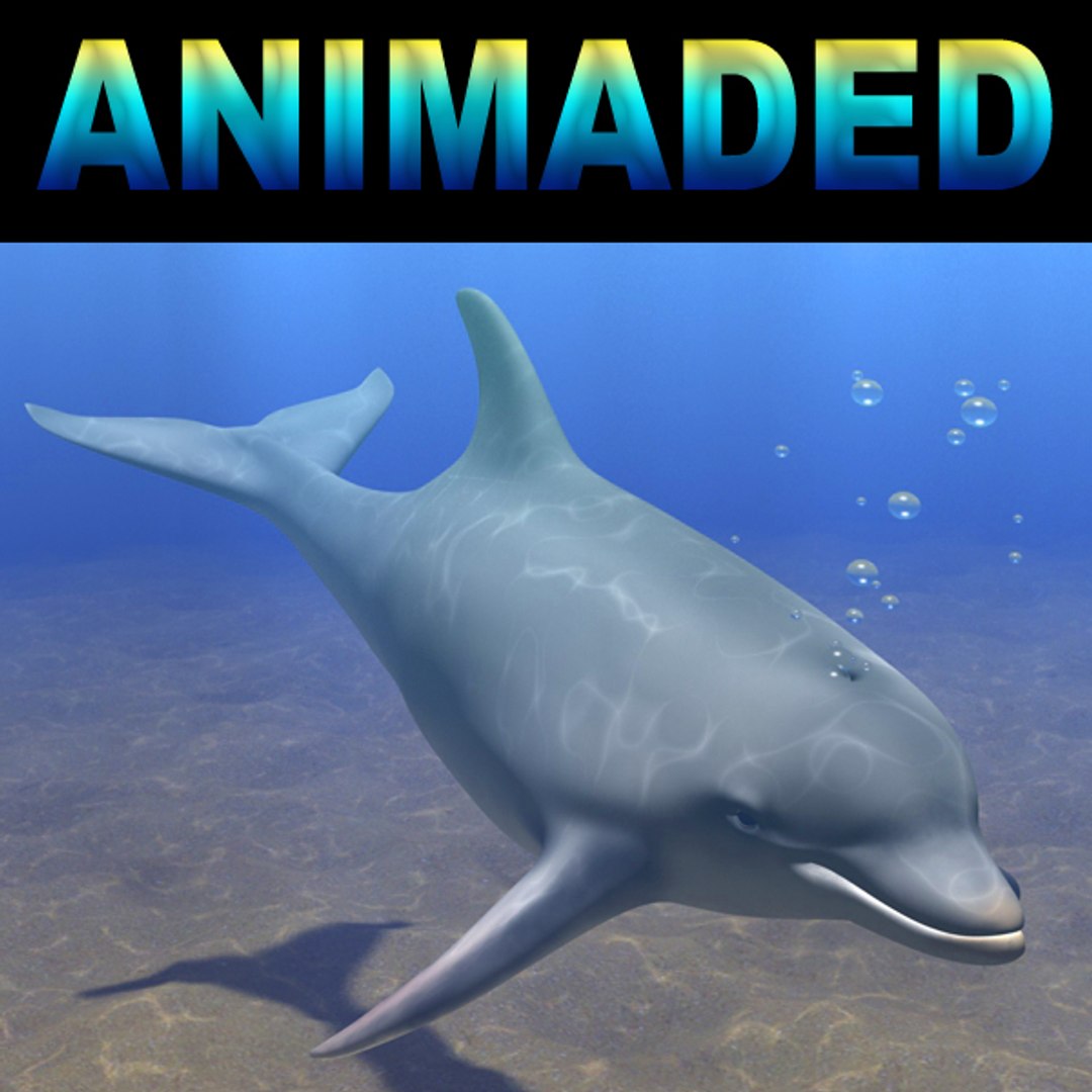 dolphin animations blowhole c4d https://p.turbosquid.com/ts-thumb/ui/qaEzdz/jCoWUmHO/main2/jpg/1333645781/1920x1080/fit_q87/f0900af1b082d97863b5907bed59534a5d48146f/main2.jpg