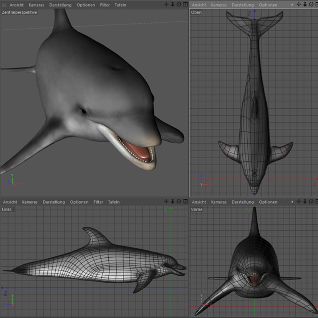 dolphin animations blowhole c4d https://p.turbosquid.com/ts-thumb/ui/qaEzdz/kFj92LII/4tafel2/jpg/1333645781/1920x1080/fit_q87/30c359d5da96948643c46ab0fad828e9414f2638/4tafel2.jpg