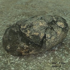 Rock 1 b