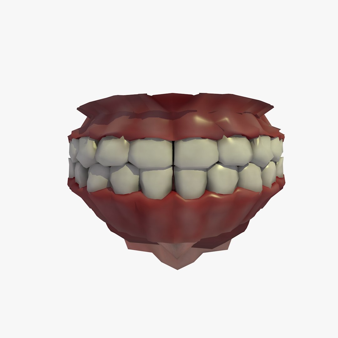 C4d Base Mesh 25 Year