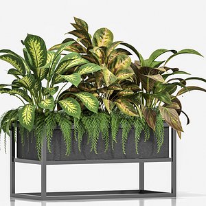 indoor plants in black box set 012