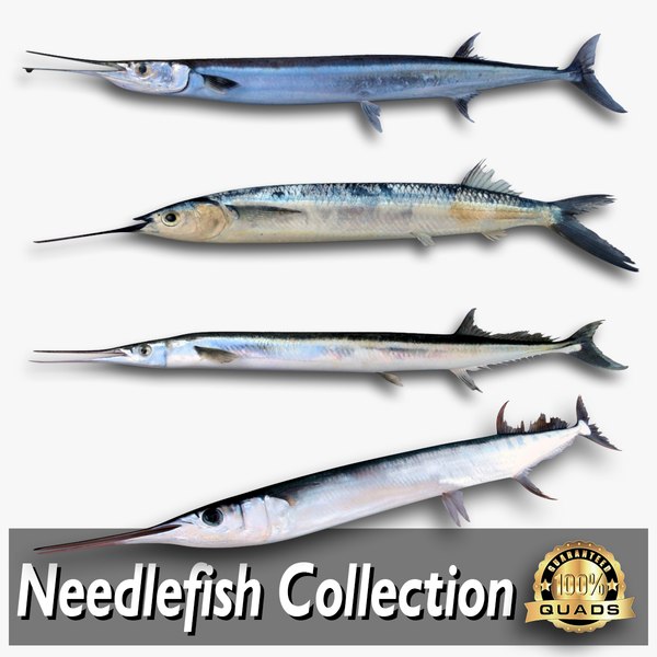 needlefish collection 3d