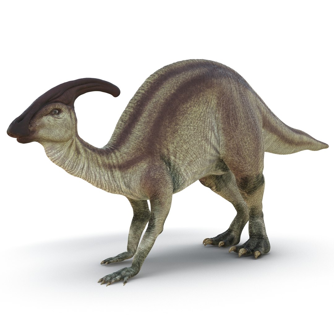 Parasaurolophus Pose 3 3D Model 3D model preview
