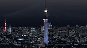 Tokyo and Fuji Night 3D model