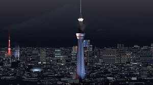 Tokyo and Fuji Night