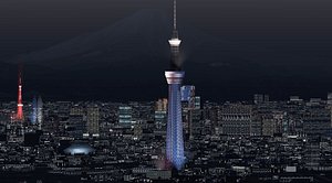 Tokyo and Fuji Night
