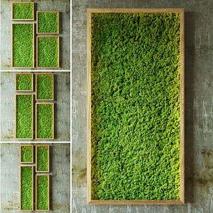 3D moss wall