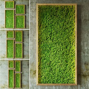 Mosswalls