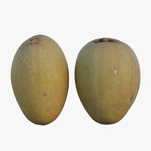 Sapodilla 03 3D
