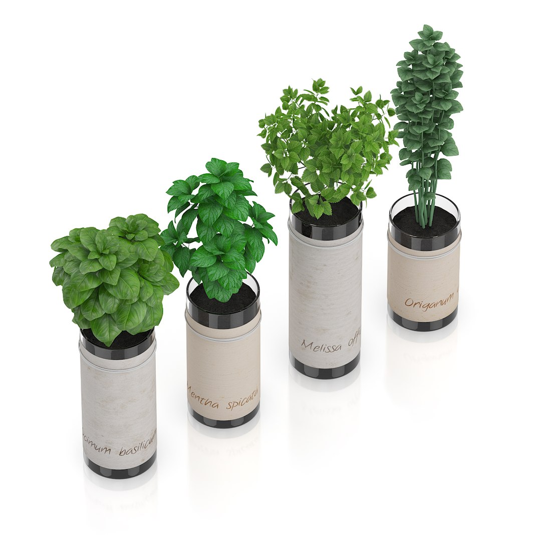 3d model herbs glass https://p.turbosquid.com/ts-thumb/uk/IpIVej/J18TFh69/07ccopy/jpg/1406990709/1920x1080/fit_q87/3201c1e287ac94b2ac0ddc8c6763eeea01e94c93/07ccopy.jpg