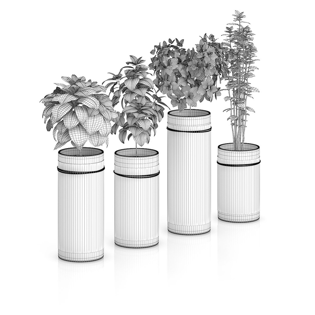 3d model herbs glass https://p.turbosquid.com/ts-thumb/uk/IpIVej/VYifrORE/07agridcopy/jpg/1406990709/1920x1080/fit_q87/c79217287e8e25f106007e829176f549081d249e/07agridcopy.jpg
