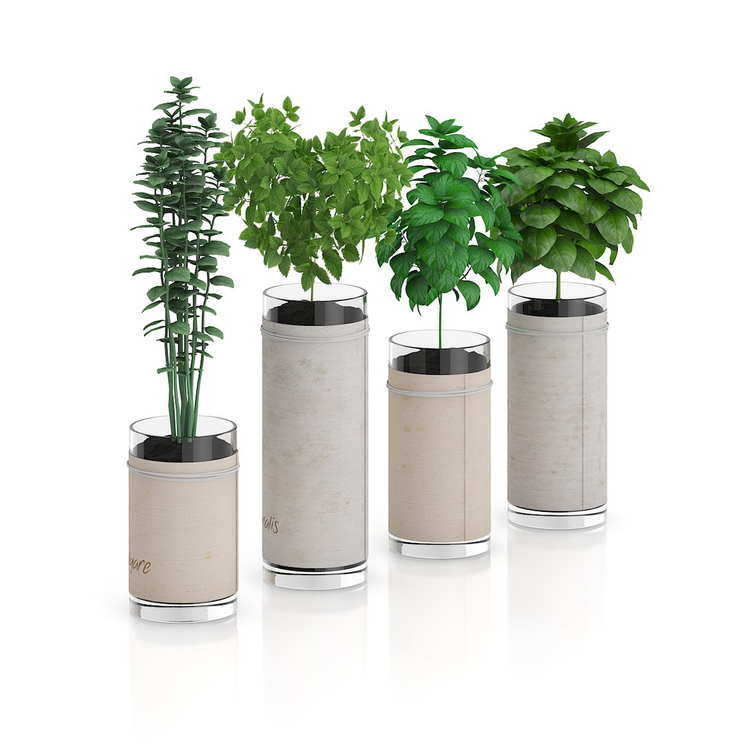 3d model herbs glass https://p.turbosquid.com/ts-thumb/uk/IpIVej/kThEXBlM/07bcopy/jpg/1406990709/1920x1080/fit_q87/d1d37a01a00ec81866653573c6ae2b321f08184d/07bcopy.jpg