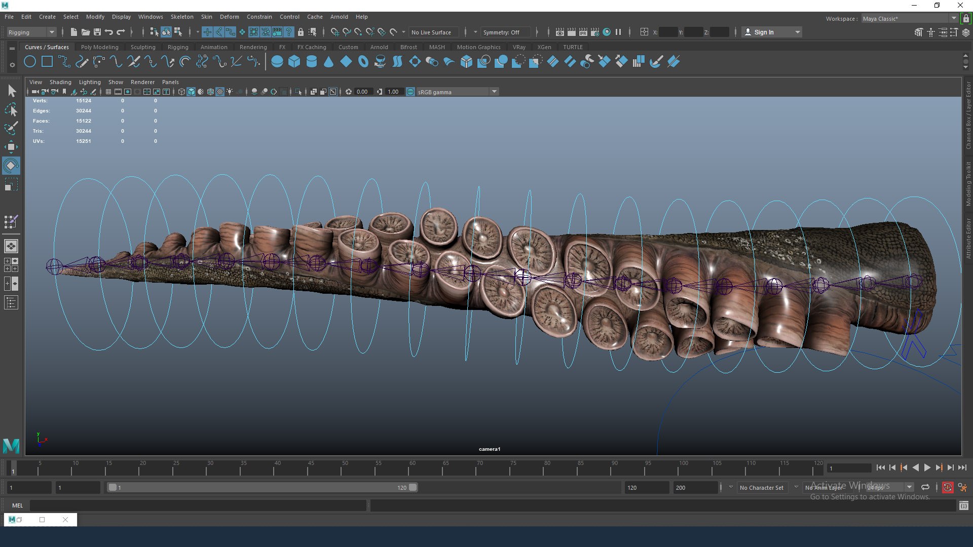 3D Realistic Rigged Octopus Tentacle - TurboSquid 1964510