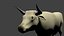 Vache
