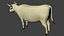 Vache