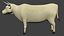 Vache