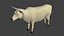 Vache