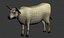 Vache