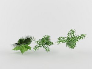3D shrub bush grass model