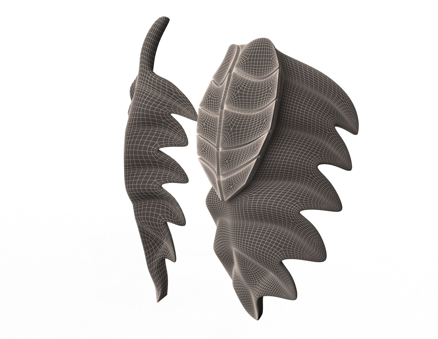 3D Leave Carving Plaster Molding Decoration https://p.turbosquid.com/ts-thumb/uk/Xq4HoP/c6/wireframe2/jpg/1622217643/1920x1080/fit_q87/c25d4f65aa6c6a3a357c8126c395f713f61d8eb9/wireframe2.jpg