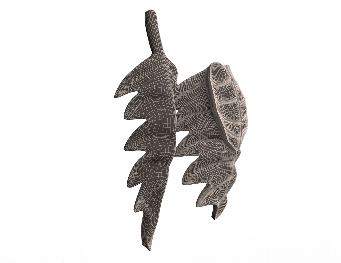 3D Leave Carving Plaster Molding Decoration https://p.turbosquid.com/ts-thumb/uk/Xq4HoP/o4/wireframe3/jpg/1622217635/1920x1080/fit_q87/340e86d8e494d9b1d47e9113b61fc0c826c5e099/wireframe3.jpg