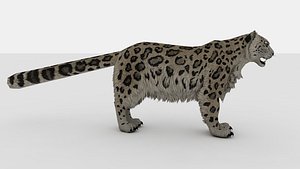 Leopard