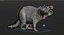 3D raccoon rigged