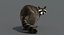 3D raccoon rigged