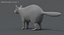 3D raccoon rigged