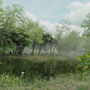 Realistic FOREST and POND 3D
