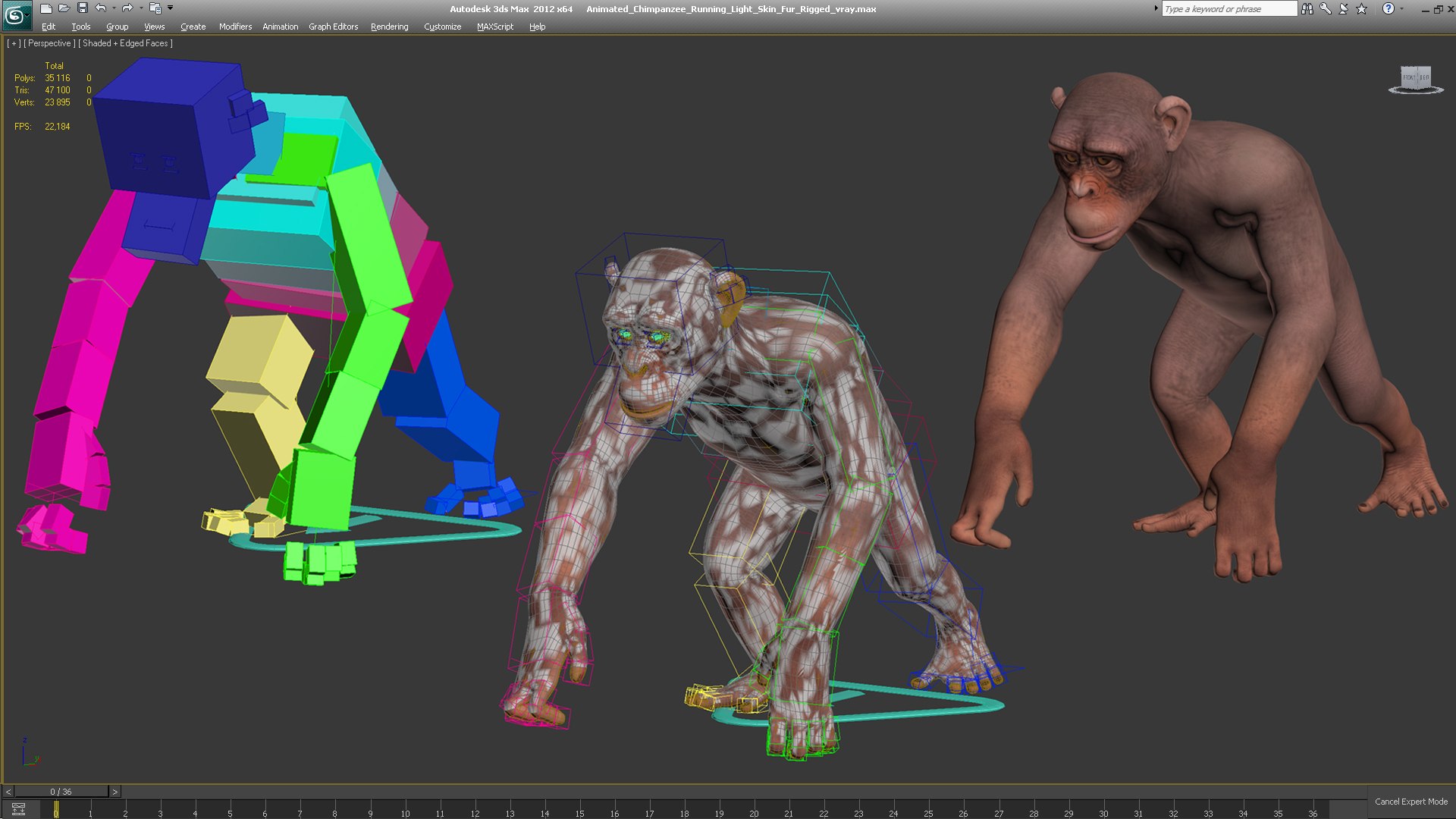 3D chimpanzee t-pose light fur animal - TurboSquid 1441049