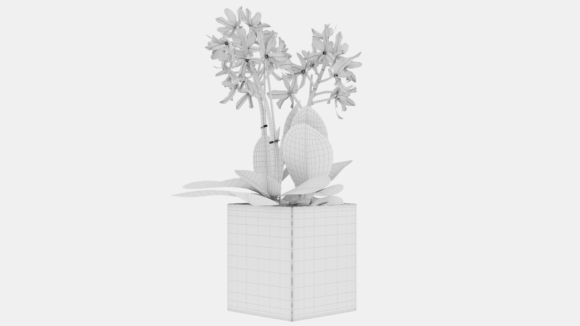 3D Plant 38 model https://p.turbosquid.com/ts-thumb/ul/CV5Qcj/QD/prs2_38_2/png/1671219075/1920x1080/fit_q87/0d97e09aaa9e716dc089192aa53d721790f34c71/prs2_38_2.jpg