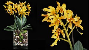 3D Plant 38 model