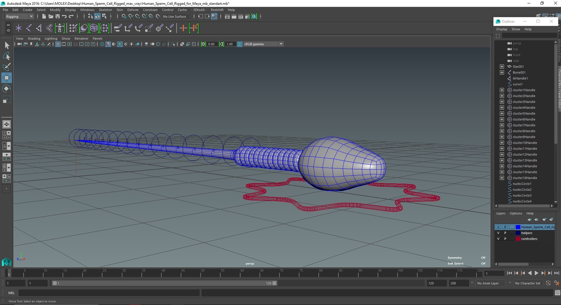3D Human Sperm Cell Rigged for Maya model https://p.turbosquid.com/ts-thumb/ul/EUaTiQ/2X/humanspermcellriggedformaya3dsmodel035/jpg/1686201636/1920x1080/fit_q87/c8483f0babba22fb86263f71d40450fea0d1170e/humanspermcellriggedformaya3dsmodel035.jpg