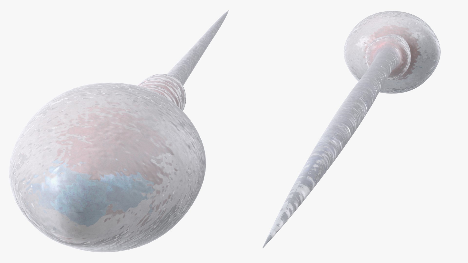 3D Human Sperm Cell Rigged for Maya model https://p.turbosquid.com/ts-thumb/ul/EUaTiQ/Qi/humanspermcellriggedformaya3dsmodel014/jpg/1686201562/1920x1080/fit_q87/c7d1090566018a6556268bf68bf16de5922e712e/humanspermcellriggedformaya3dsmodel014.jpg
