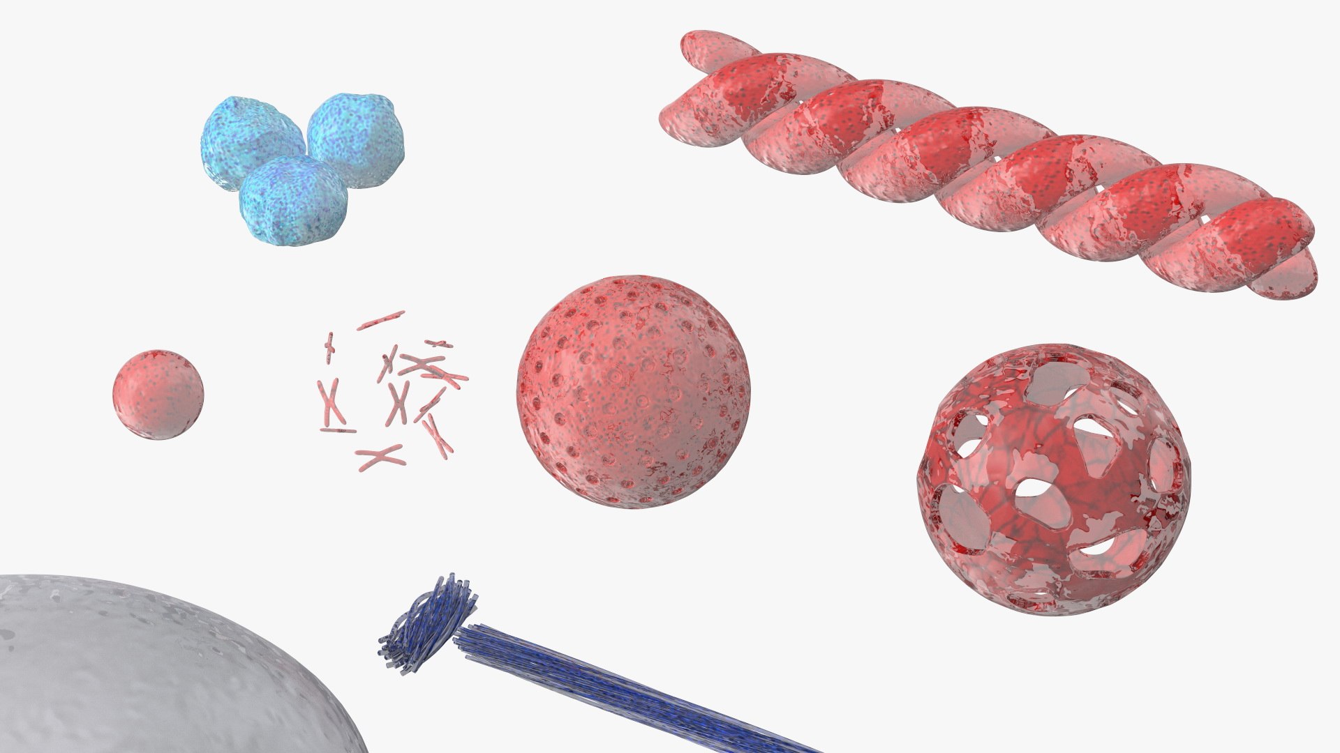 3D Human Sperm Cell Rigged for Maya model https://p.turbosquid.com/ts-thumb/ul/EUaTiQ/Xs/humanspermcellriggedformaya3dsmodel020/jpg/1686201582/1920x1080/fit_q87/65994a03d20770c24ff0bd83cb8417020a43a310/humanspermcellriggedformaya3dsmodel020.jpg