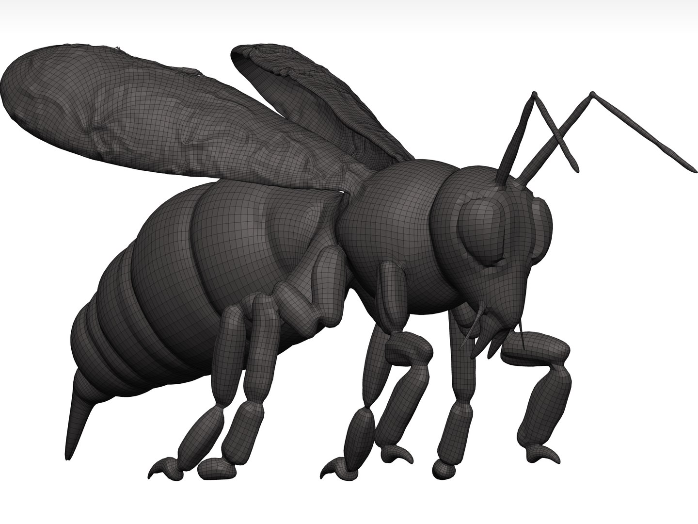 Bee Stl 3D model - TurboSquid 1774111