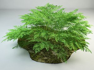 bracken bush 3d max