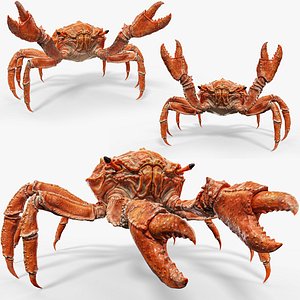 Royal Crab - King Sebastian - Low Poly Realistic 3D Model - Rigged Animated Monster  - 18