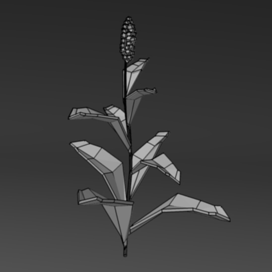 3ds max sorghum field https://p.turbosquid.com/ts-thumb/ul/RqenXZ/k8ydZrPN/sorghumw/jpg/1233099126/1920x1080/fit_q87/503429d0d3c5ae677b8c701a8bec00a67e9bd2dc/sorghumw.jpg