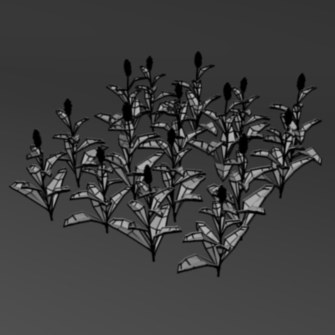 3ds max sorghum field https://p.turbosquid.com/ts-thumb/ul/RqenXZ/wqbSZPSJ/sorghumw2/jpg/1233099131/1920x1080/fit_q87/9a8a97bbae5b1621271c7126d252016b5a1bed1a/sorghumw2.jpg