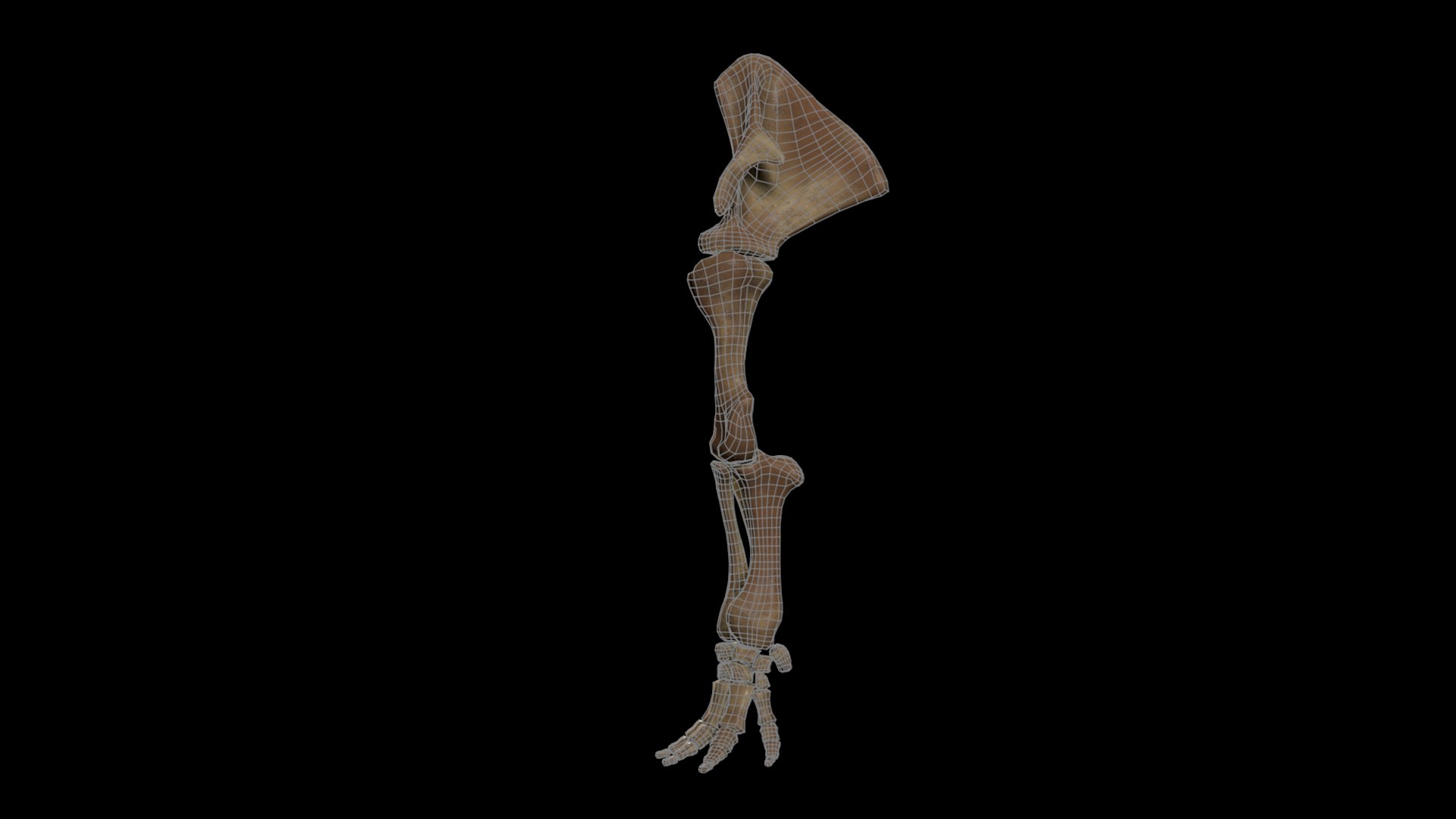 3D model complete mammoth skeleton animate https://p.turbosquid.com/ts-thumb/ul/m3psZv/5xZIJyCf/armwire/png/1511044686/1920x1080/fit_q87/885b3801b21c0e29142a404671cb92642ad96dfa/armwire.jpg