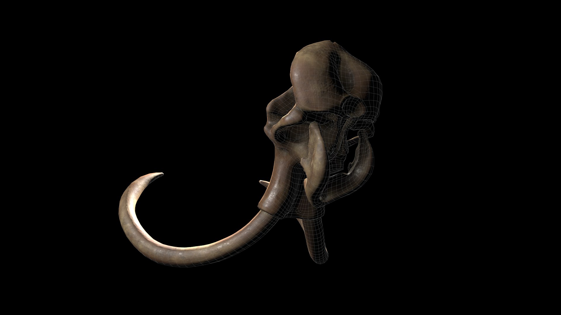 3D model complete mammoth skeleton animate https://p.turbosquid.com/ts-thumb/ul/m3psZv/GMUcoWGe/wire2/png/1511044686/1920x1080/fit_q87/fc577fbd4baec5fcdef723d7612dae719a61d8bc/wire2.jpg
