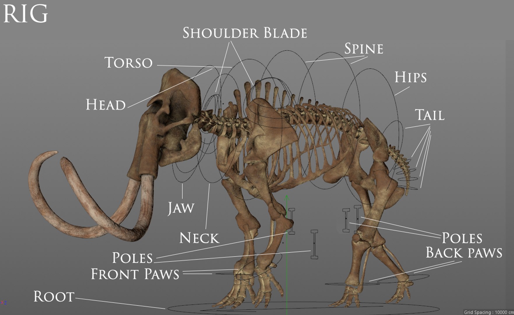 3D model complete mammoth skeleton animate https://p.turbosquid.com/ts-thumb/ul/m3psZv/qbIbHLWp/rig/png/1510988694/1920x1080/fit_q87/59d8f6b2d92da3360d08a0c474fb2f1a0fcde395/rig.jpg
