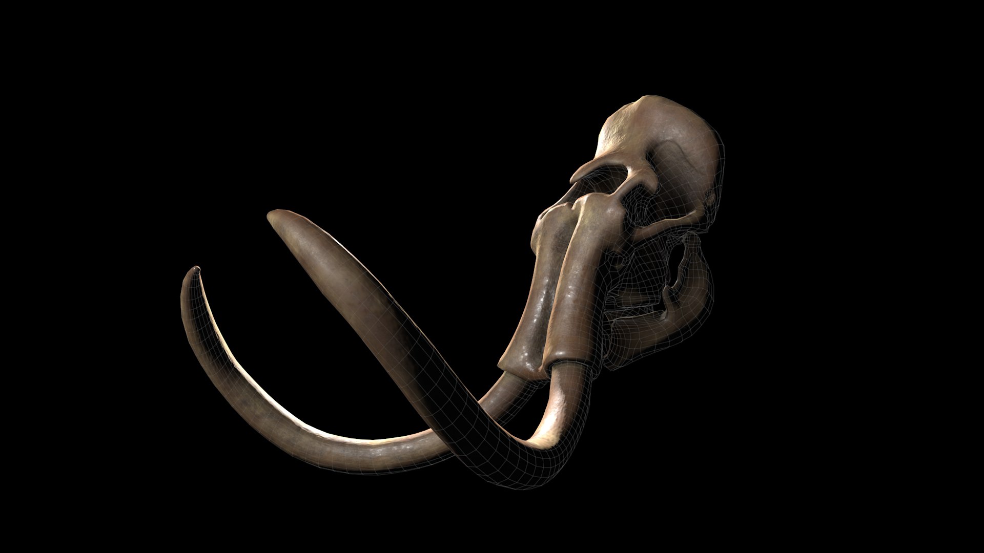 3D model complete mammoth skeleton animate https://p.turbosquid.com/ts-thumb/ul/m3psZv/sxZsxVGB/wire1/png/1511044686/1920x1080/fit_q87/0dcafeee00e97e0e55c1b2a1ba4b6e667b3cb863/wire1.jpg